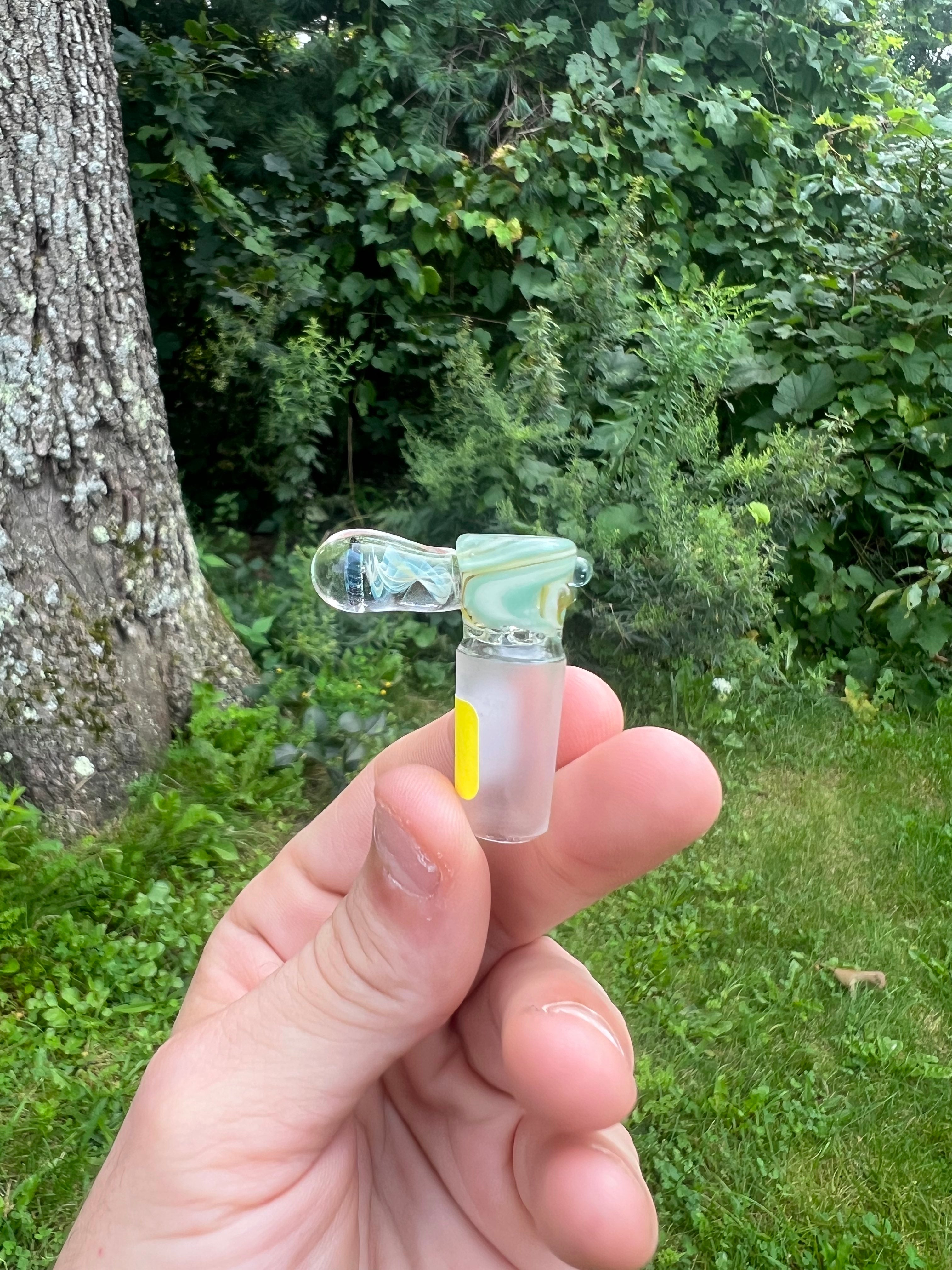 Bulbasaur Millie Slide