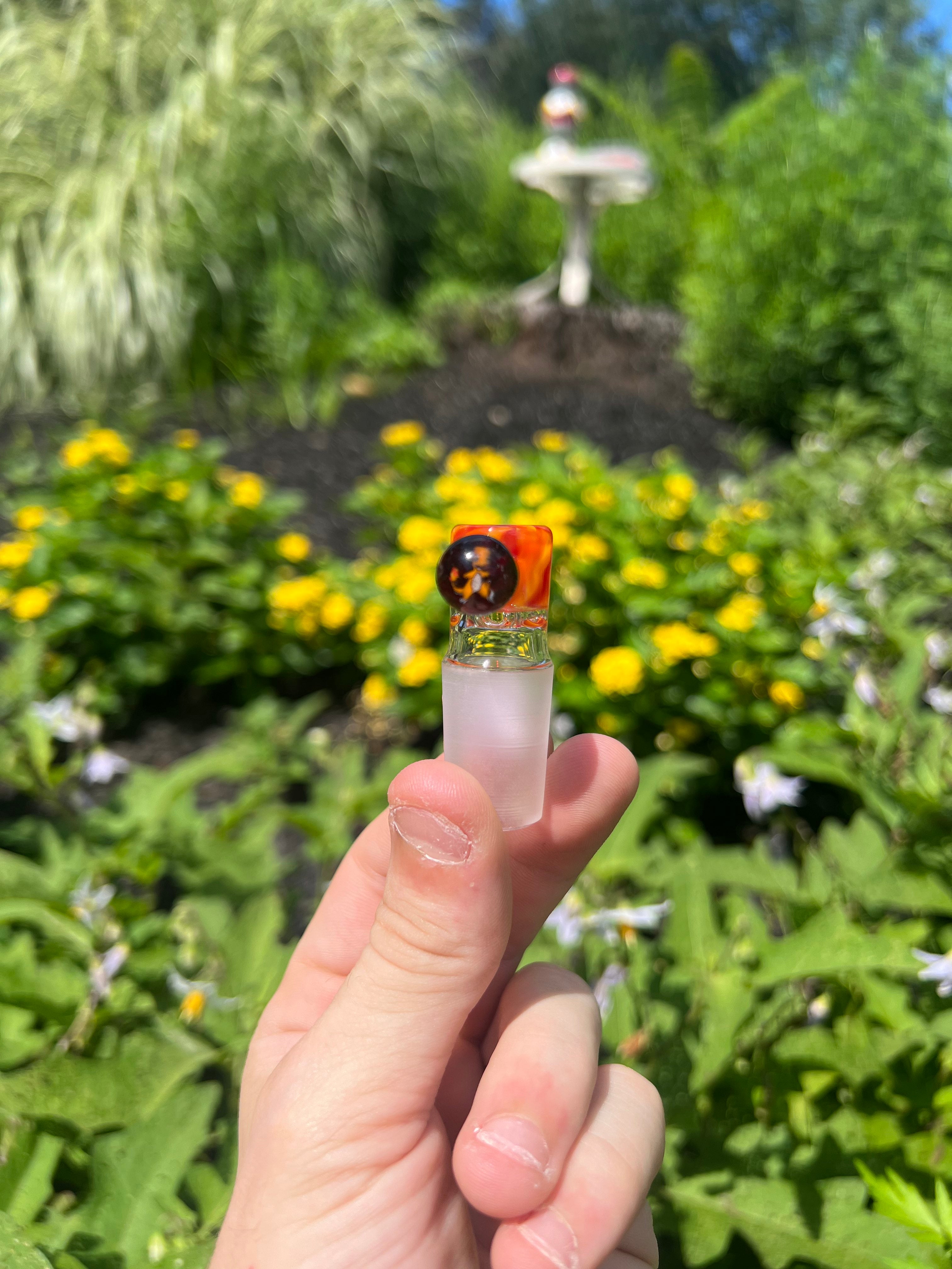 Charmander Millie Slides