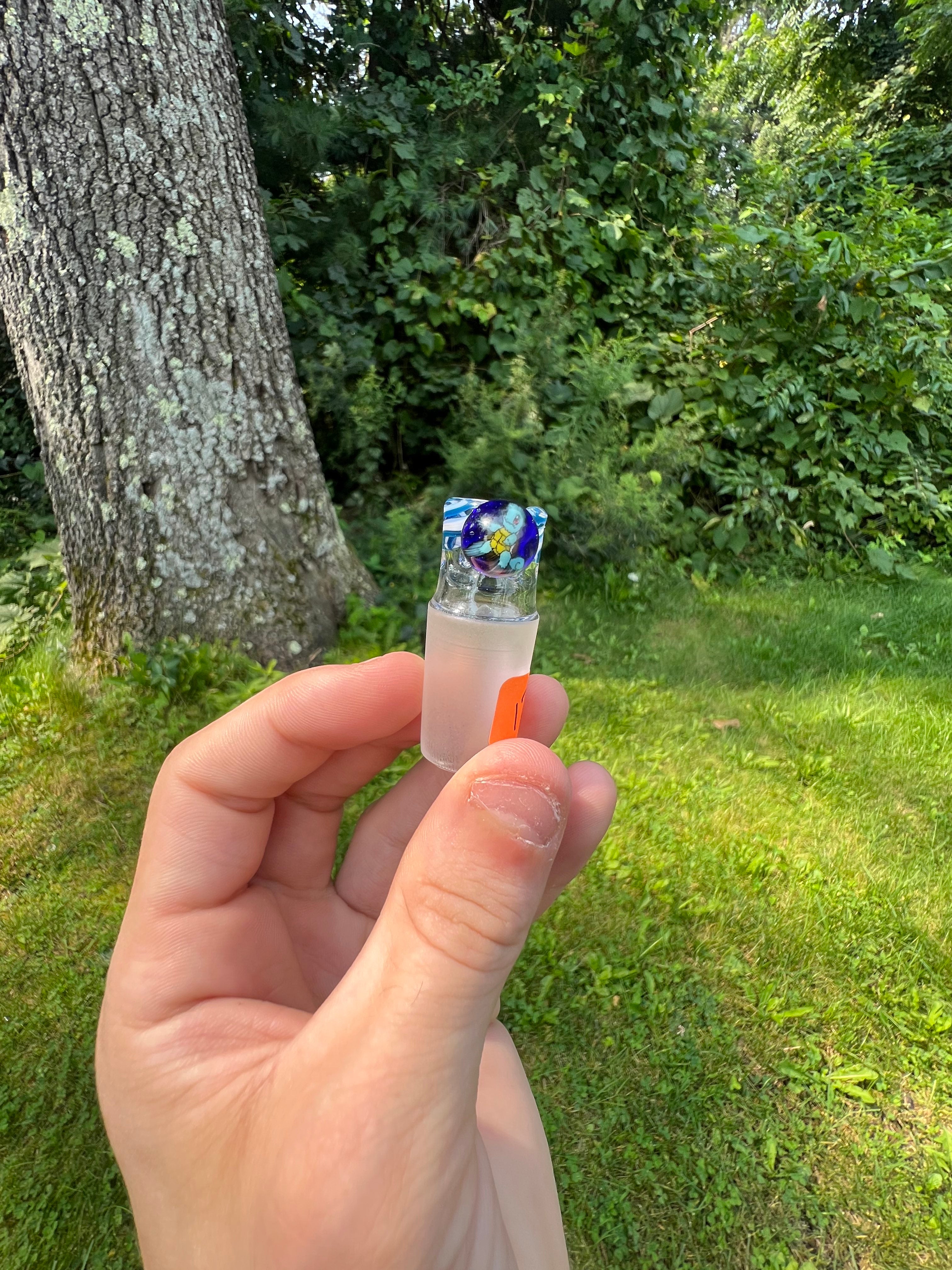 Squirtle Millie Slides