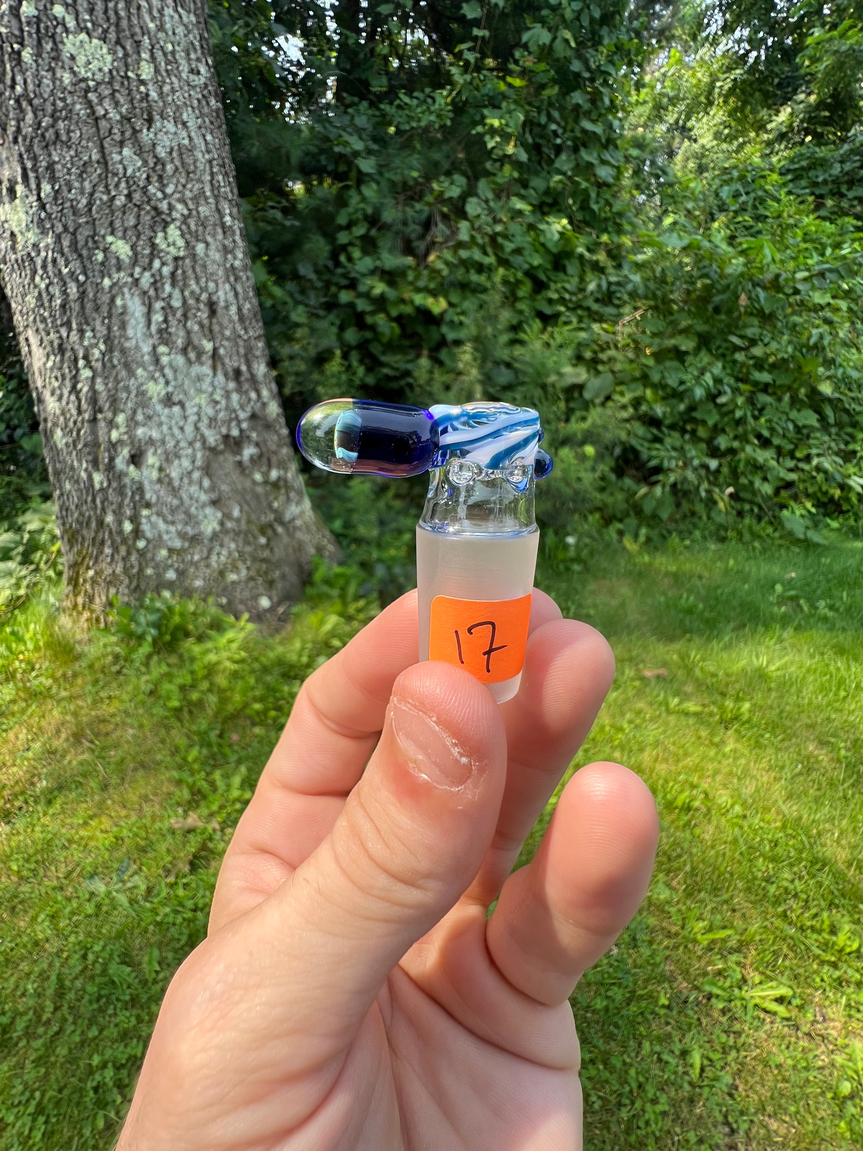 Squirtle Millie Slides