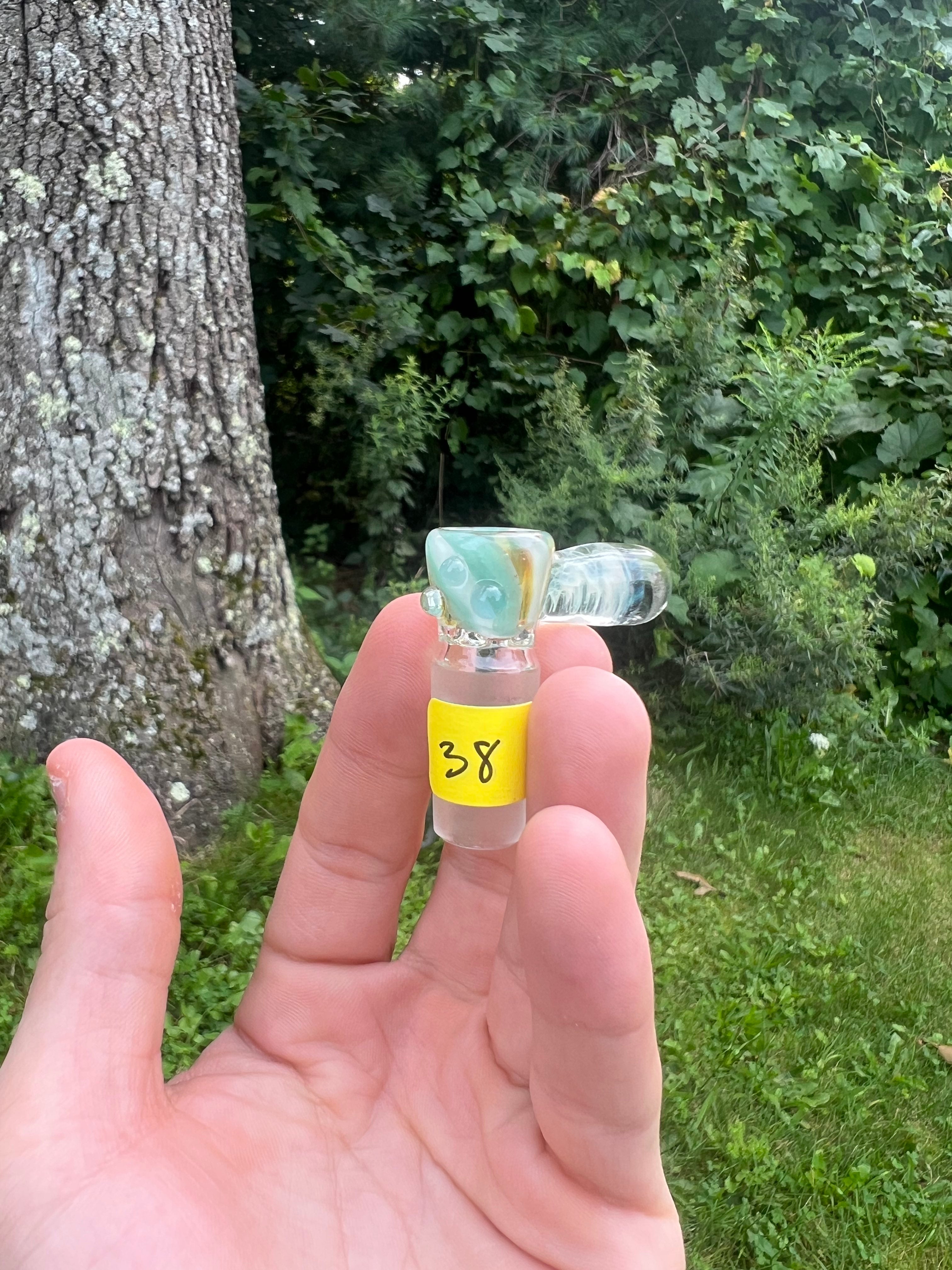 Bulbasaur Millie Slide