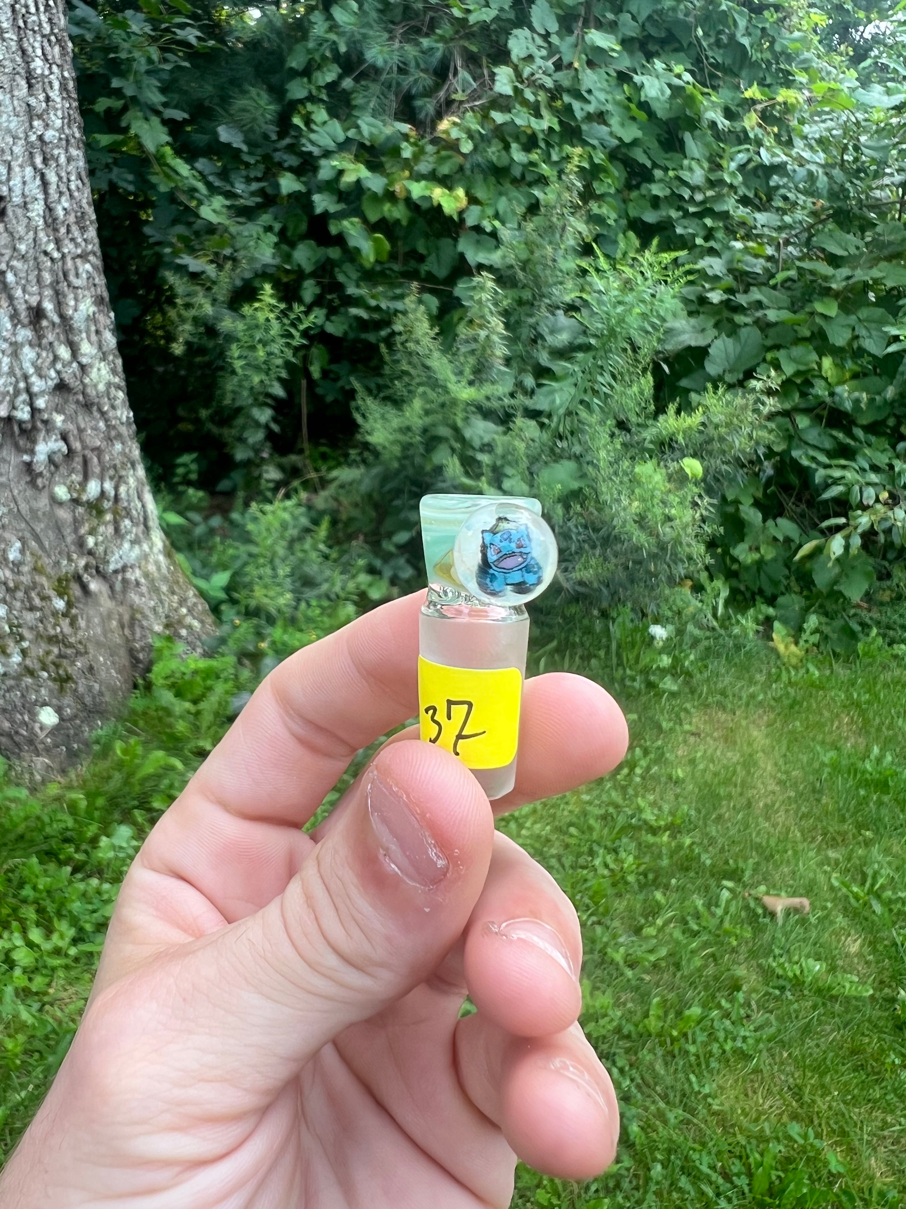 Bulbasaur Millie Slide